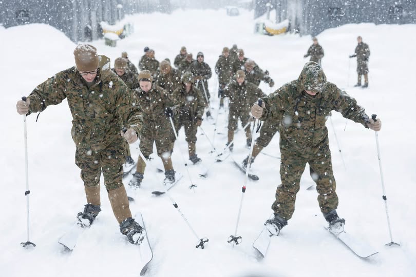 Cold Marines