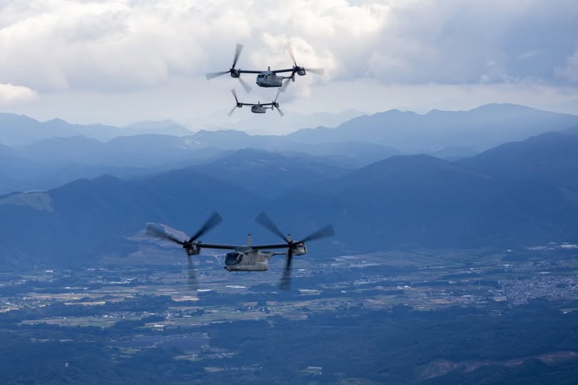 Three Osprey