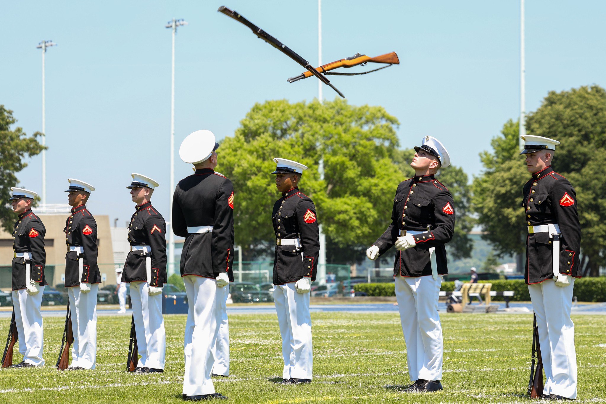 Rifles In Action