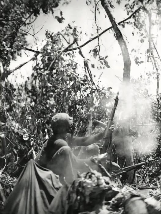 Marines Fire Rifle Grenades on Suicide Ridge